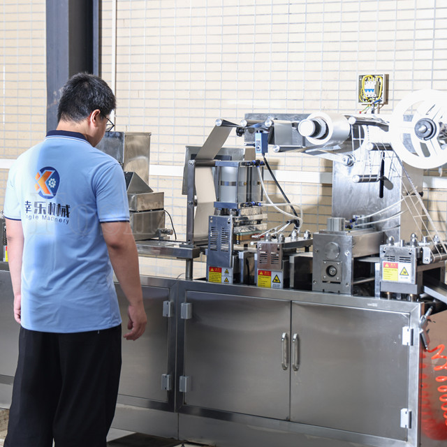 Máquina de embalagem farmacêutica automática da bolha da tabuleta da elevada precisão